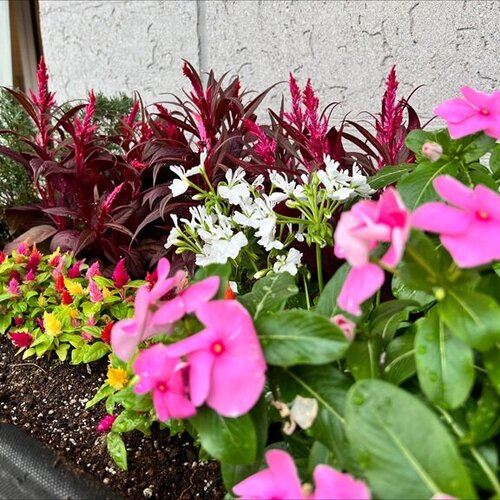 ブログ記事のイメージ画像