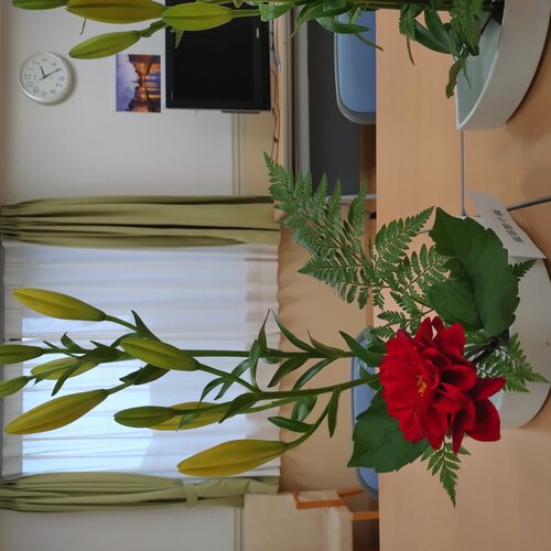 ブログ記事のイメージ画像