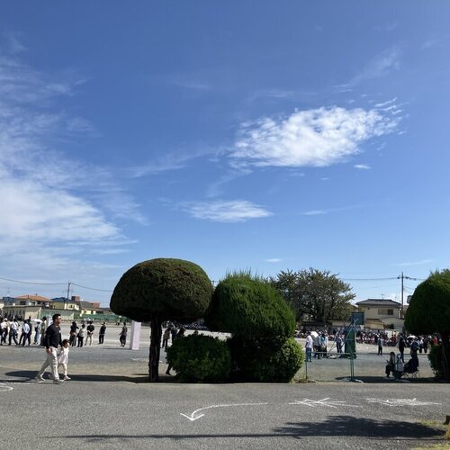 ブログ記事のイメージ画像