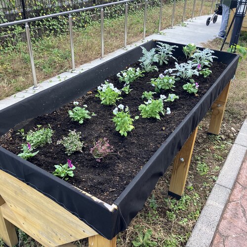 ブログ記事のイメージ画像