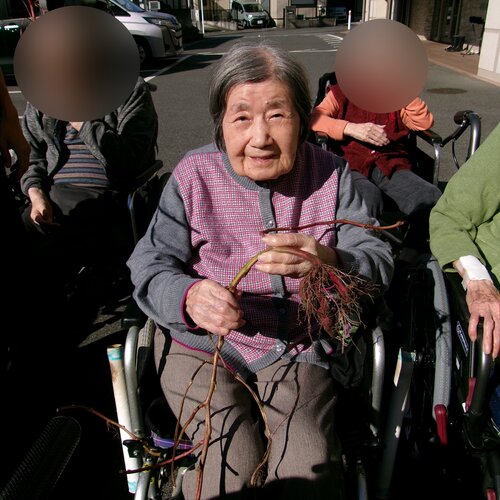 ブログ記事のイメージ画像