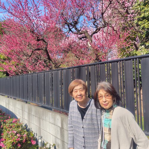 ブログ記事のイメージ画像