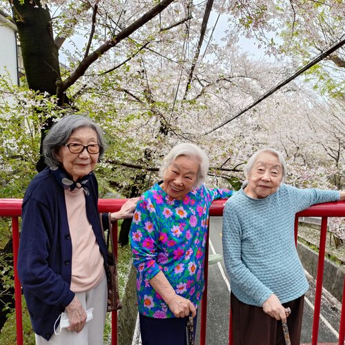 ブログ記事のイメージ画像