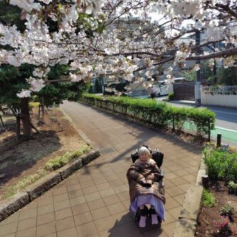 ブログ記事のイメージ画像