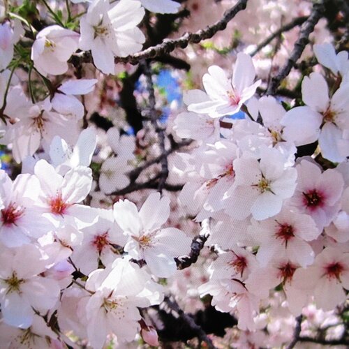 ブログ記事のイメージ画像