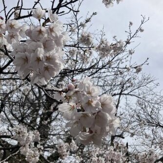 ブログ記事のイメージ画像